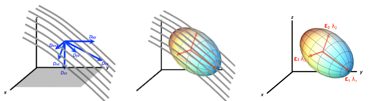  Diffusion Tensor ellipsoid 