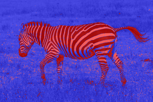 zebra_seg.png