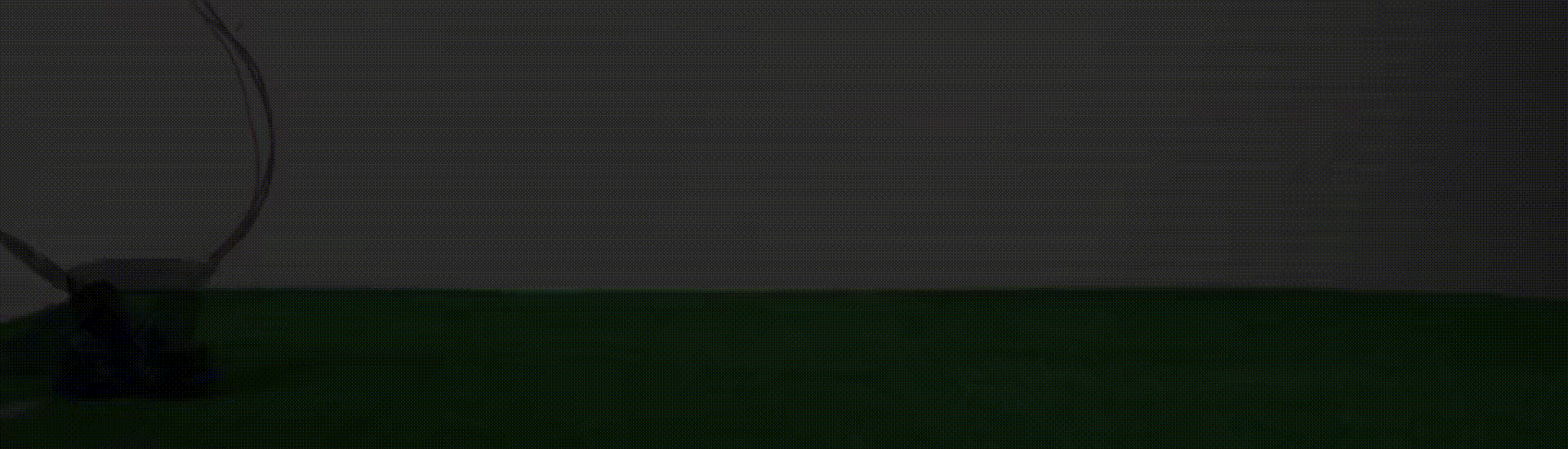 t4-balancing-gait.gif