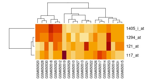 GE heatmap
