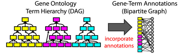 GO, term hierarchy and annotations