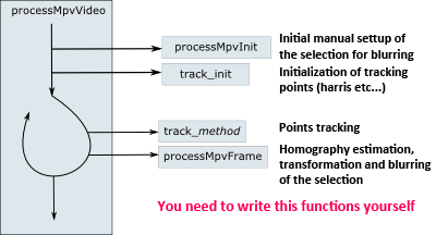 struktura_programu_en.png