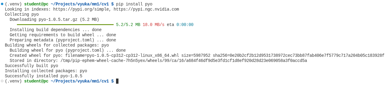 vscode-pip-install.png